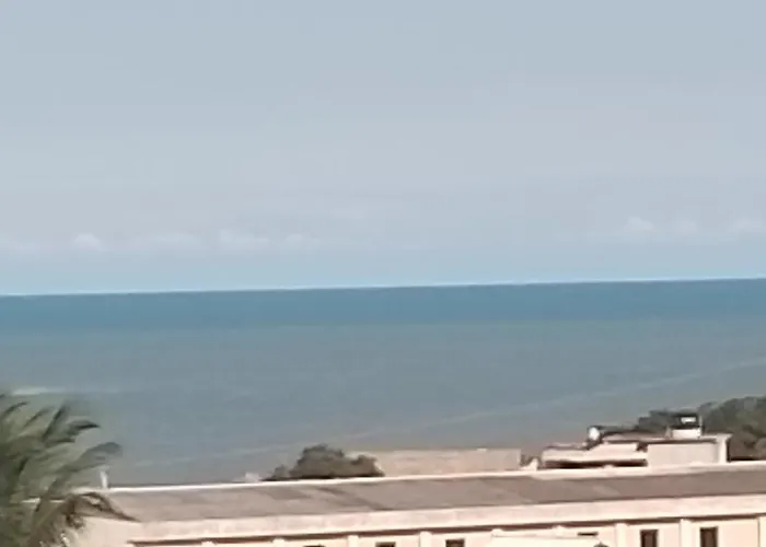 Lugar De Paz!